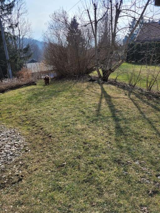 Appartement Le Flocon, Joli Petit Cocon 4 Pers En Rez De Jardin Draps Inclus Les Rousses Exterior photo